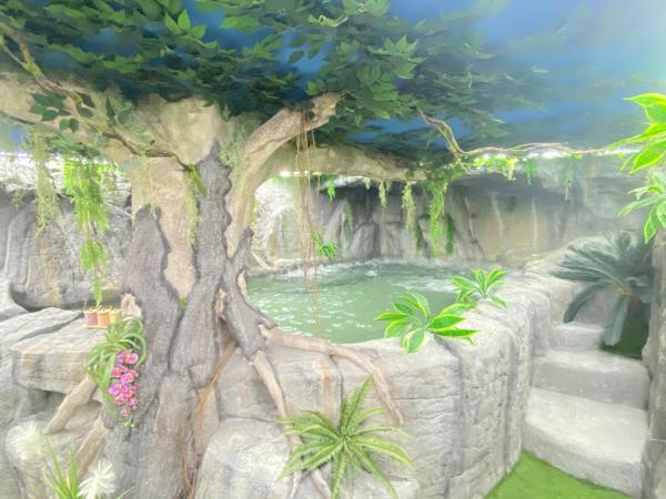 Futurotel Spa Garden : photo 7 de la chambre room deluxe capsule 