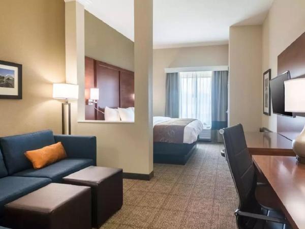 Comfort Suites Meridian and I-40 : photo 3 de la chambre suite lit king-size