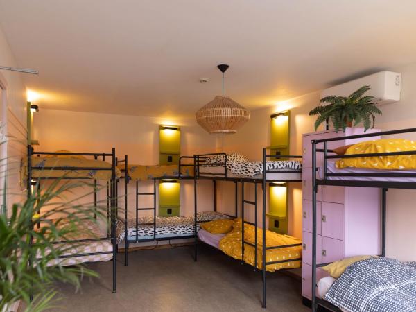 Hostel Ani&Haakien : photo 2 de la chambre lit dans dortoir de 8 lits 