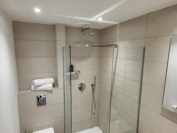 Le Royal Hôtel Restaurant : photo 4 de la chambre studio