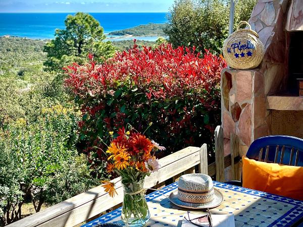 Résidence U Pirellu : photo 9 de la chambre appartement (2-4 adultes)