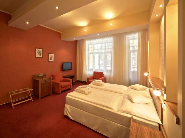 Spa & Wellness Hotel St. Moritz : photo 5 de la chambre chambre double standard