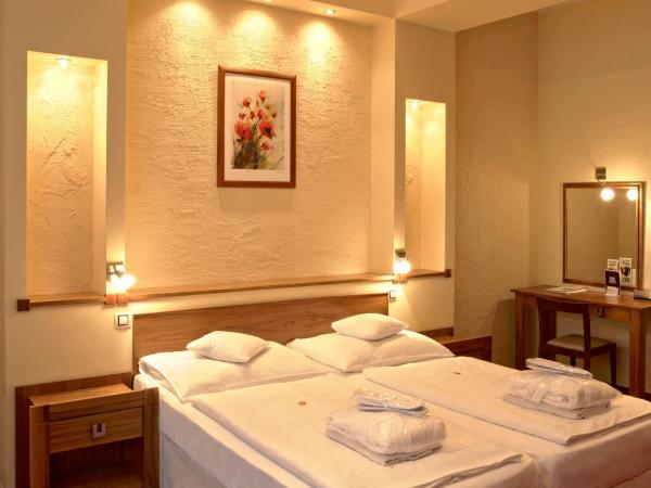 Spa & Wellness Hotel St. Moritz : photo 4 de la chambre chambre double standard