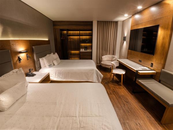 Victoria Ejecutivo : photo 9 de la chambre chambre double supérieure avec deux lits doubles