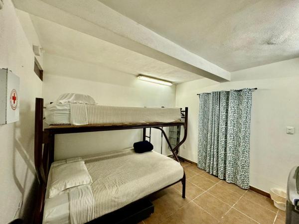 Suites Apodaca : photo 2 de la chambre chambre quadruple Économique