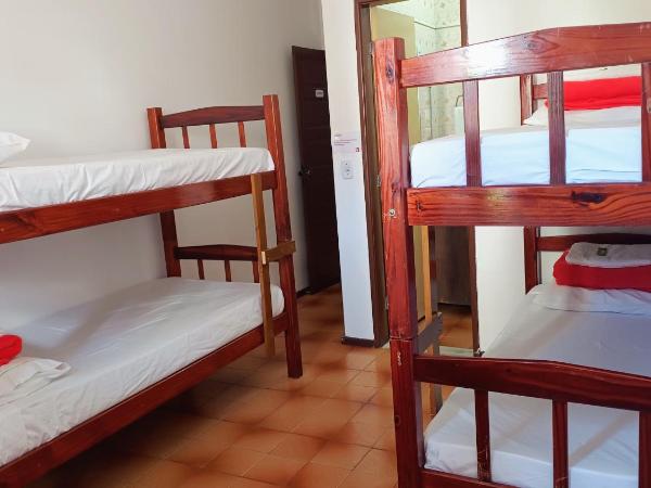 Hostel My Place Hospedaria : photo 3 de la chambre lit superposé dans dortoir mixte