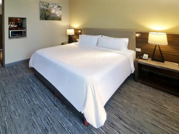 Holiday Inn Express & Suites Monterrey Valle, an IHG Hotel : photo 1 de la chambre king suite with mountain view - high floor