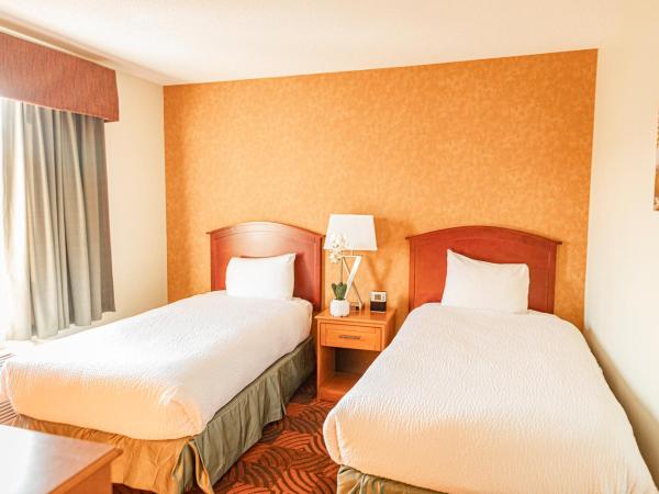 Service Plus Inns and Suites Calgary : photo 4 de la chambre two-room king suite with one king bed and two single beds - non-smoking