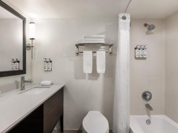 Holiday Inn Miami Beach-Oceanfront, an IHG Hotel : photo 10 de la chambre chambre lit king-size standard