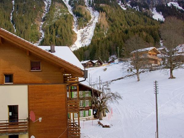 Hotel Silberhorn - Residences & Spa Wengen : photo 4 de la chambre chambre supérieure