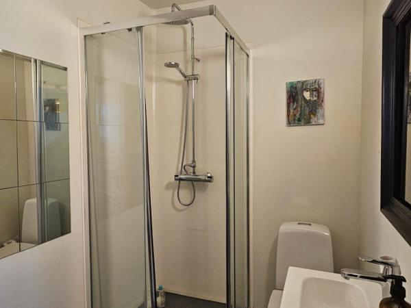 Downtown Guesthouse Reykjavik : photo 5 de la chambre studio familial