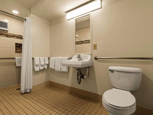 Best Western The Plaza Hotel - Free Breakfast : photo 4 de la chambre chambre double avec 2 lits doubles et douche accessible en fauteuil roulant - accessible aux personnes à mobilité réduite/animaux domestiques admis