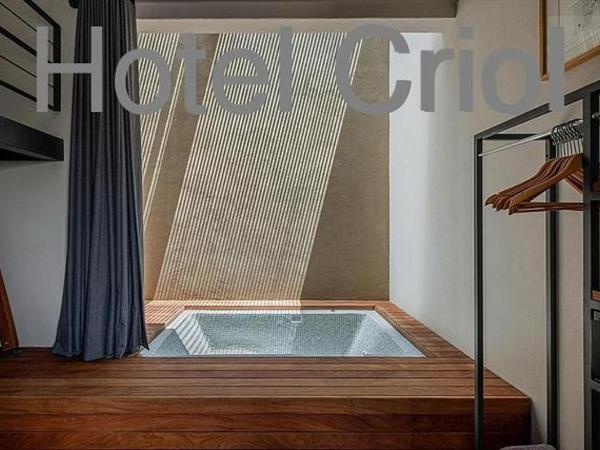Hotel Criol : photo 1 de la chambre suite familiale