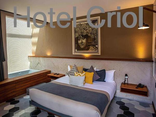 Hotel Criol : photo 8 de la chambre suite avec jacuzzi