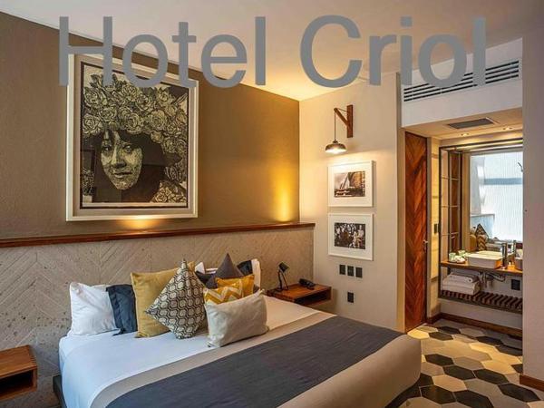 Hotel Criol : photo 7 de la chambre suite avec jacuzzi