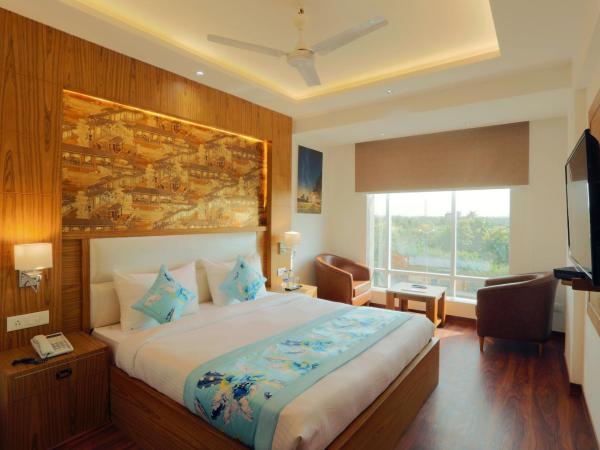 Hotel International Inn by Star Group - Near Delhi Airport : photo 4 de la chambre chambre deluxe
