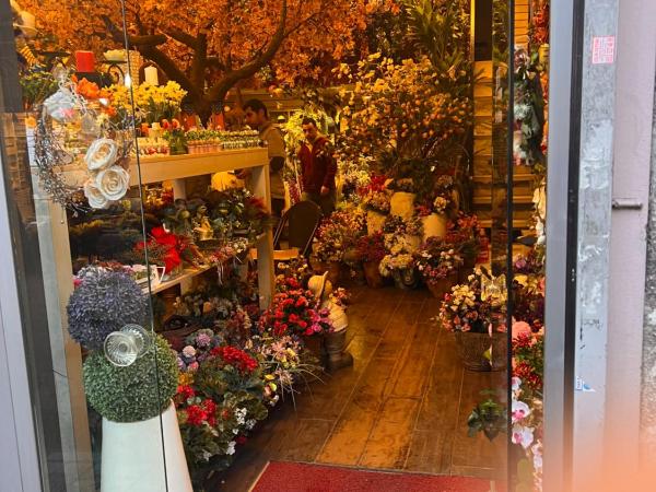 otel grand sami : photo 7 de la chambre grande chambre simple 