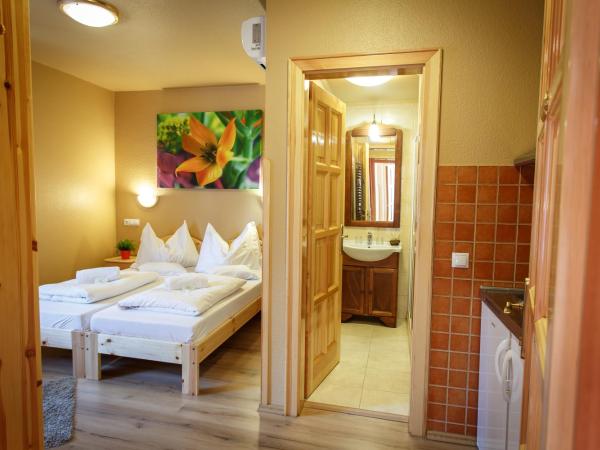 Hotel Karin : photo 4 de la chambre appartement (2 adultes)