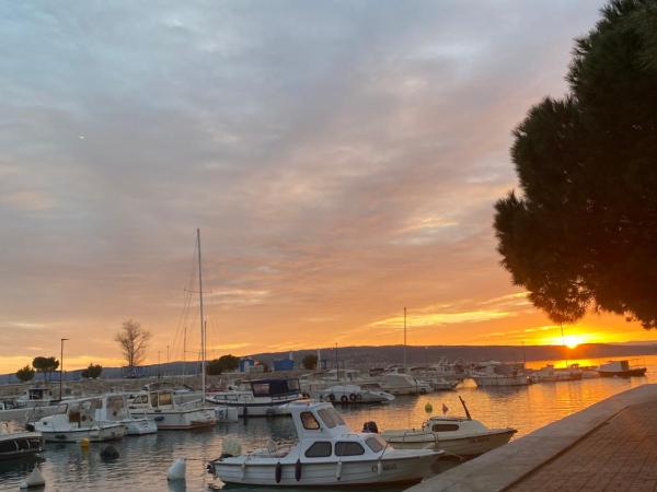 Family Apartments Vesna- 100 m Beach -Center Crikvenica : photo 10 de la chambre appartement 2 chambres avec balcon
