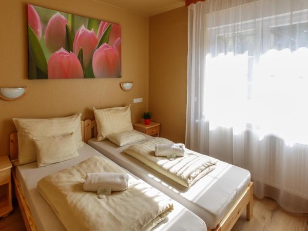 Hotel Karin : photo 1 de la chambre appartement (2 adultes)