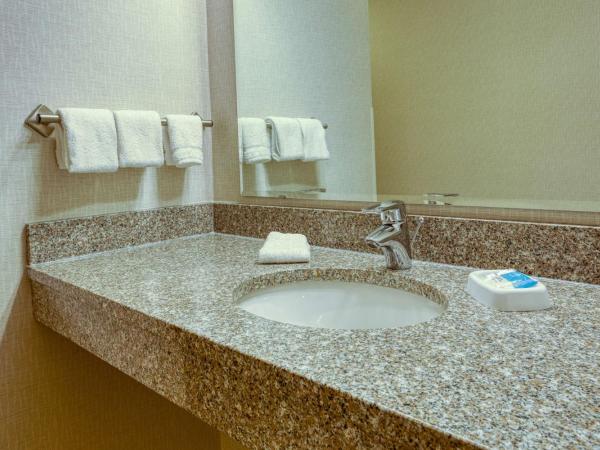 Drury Inn & Suites Indianapolis Northeast : photo 3 de la chambre chambre lit king-size - accessible aux personnes à mobilité réduite