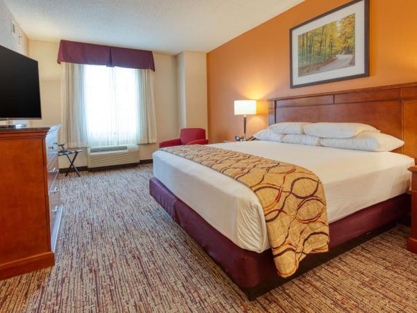 Drury Inn & Suites Indianapolis Northeast : photo 4 de la chambre chambre lit king-size - accessible aux personnes à mobilité réduite