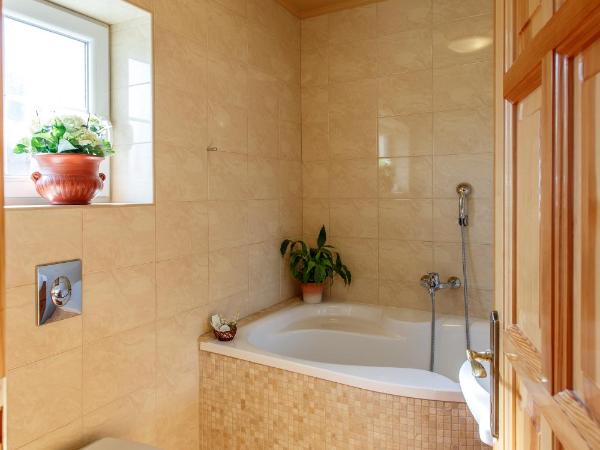 Hotel Karin : photo 3 de la chambre appartement (2 adultes)