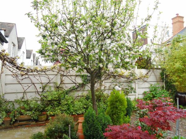 Compton Guest House : photo 6 de la chambre chambre double