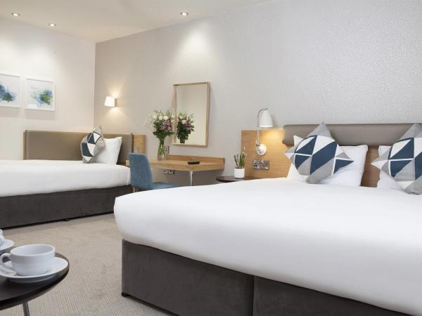 The Orchid Hotel : photo 4 de la chambre chambre familiale exécutive