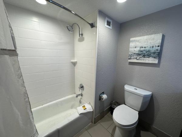 Comfort Inn Dallas North Love Field Airport : photo 3 de la chambre chambre triple avec canapé-lit - non-fumeurs