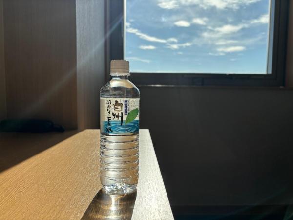 Chateraise Hotel Nagano : photo 7 de la chambre chambre simple standard - non-fumeurs