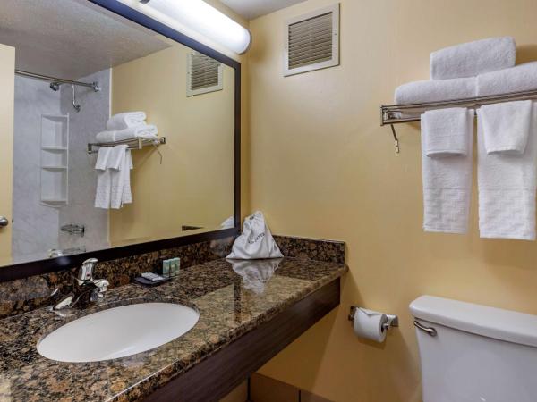 Best Western The Plaza Hotel - Free Breakfast : photo 5 de la chambre chambre double avec 2 lits doubles et vue sur la cour