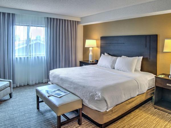 Embassy Suites by Hilton Indianapolis North : photo 1 de la chambre suite lit king-size – non-fumeurs