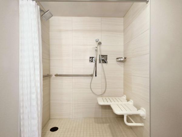Embassy Suites by Hilton Indianapolis Downtown : photo 3 de la chambre suite lit king-size avec douche accessible en fauteuil roulant - accessible aux personnes à mobilité réduite