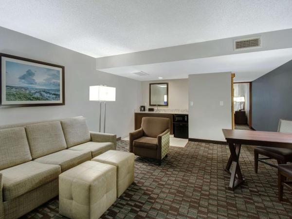 Embassy Suites by Hilton Jacksonville Baymeadows : photo 1 de la chambre king room with disability/hearing accessible with roll-in shower