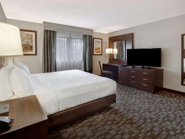 Embassy Suites by Hilton Jacksonville Baymeadows : photo 2 de la chambre chambre lit king-size affaires