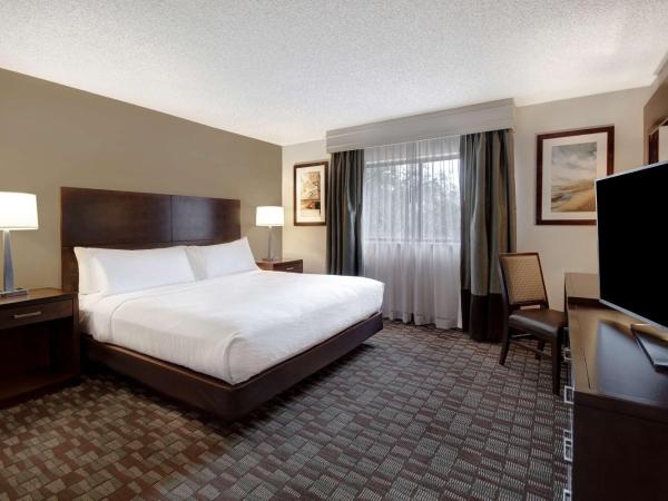 Embassy Suites by Hilton Jacksonville Baymeadows : photo 3 de la chambre chambre lit king-size affaires