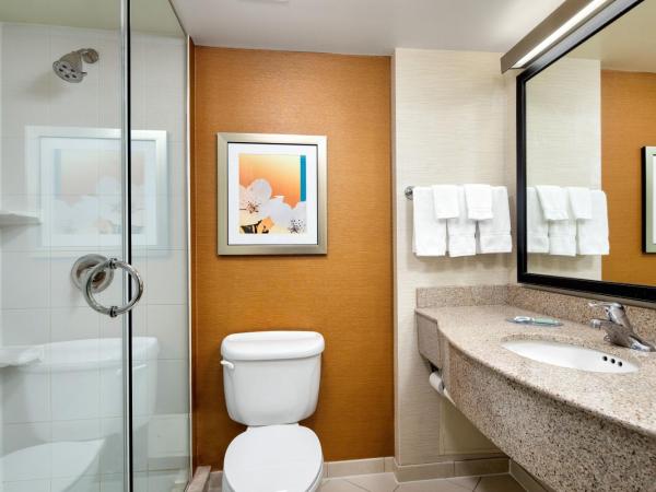 Fairfield Inn & Suites by Marriott Toronto Airport : photo 6 de la chambre studio exécutif lit king-size 