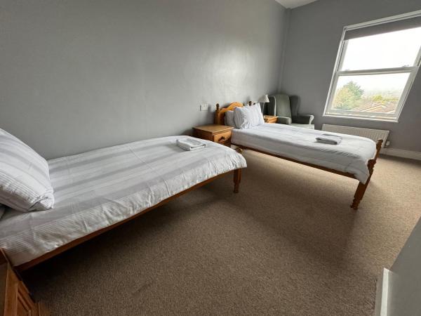 The Elms Guest House Bristol : photo 1 de la chambre chambre lits jumeaux standard