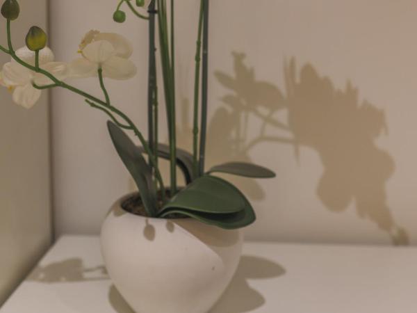 Habitaciones Amelia : photo 7 de la chambre chambre lits jumeaux deluxe