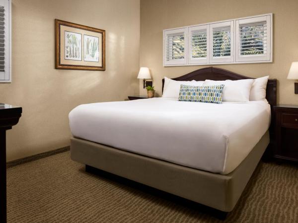 Bahia Resort Hotel : photo 3 de la chambre deluxe bayfront suite king 1st floor