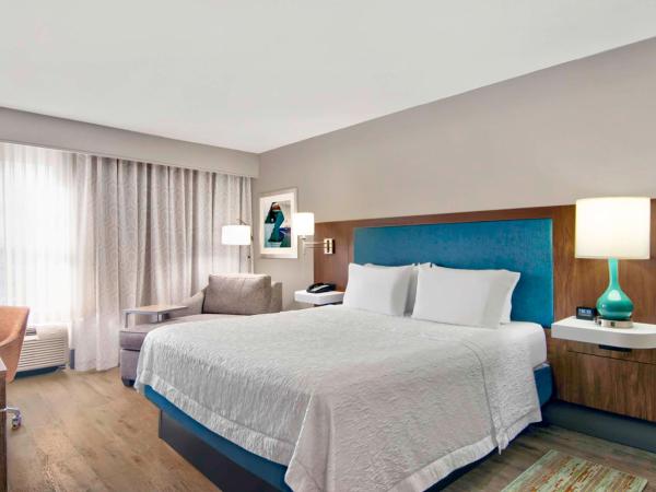 Hampton Inn Ft Lauderdale Airport North Cruise Port : photo 3 de la chambre chambre lit king-size avec four micro-ondes et réfrigérateur - non-fumeurs