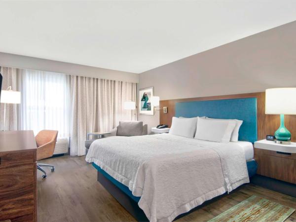 Hampton Inn Ft Lauderdale Airport North Cruise Port : photo 6 de la chambre chambre lit king-size avec four micro-ondes et réfrigérateur - non-fumeurs