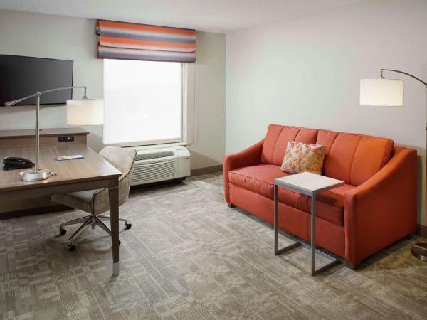 Hampton Inn by Hilton Garden City Long Island : photo 3 de la chambre suite studio lit king-size avec canapé-lit – non-fumeurs