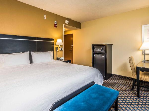 Hampton Inn & Suites Jacksonville South - Bartram Park : photo 1 de la chambre chambre lit king-size - adaptée aux personnes malentendantes - non-fumeurs