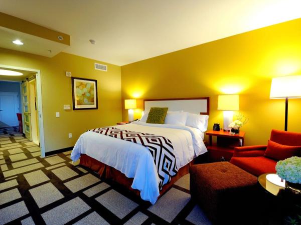 Embassy Suites Houston - Downtown : photo 2 de la chambre suite deluxe avec lit king-size