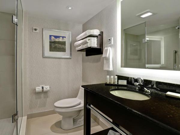 Embassy Suites by Hilton Niagara Falls/ Fallsview : photo 4 de la chambre king room with horseshoe/us falls view - high floor