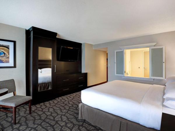 Embassy Suites by Hilton Niagara Falls/ Fallsview : photo 3 de la chambre king suite with spa bath - horseshoe falls view