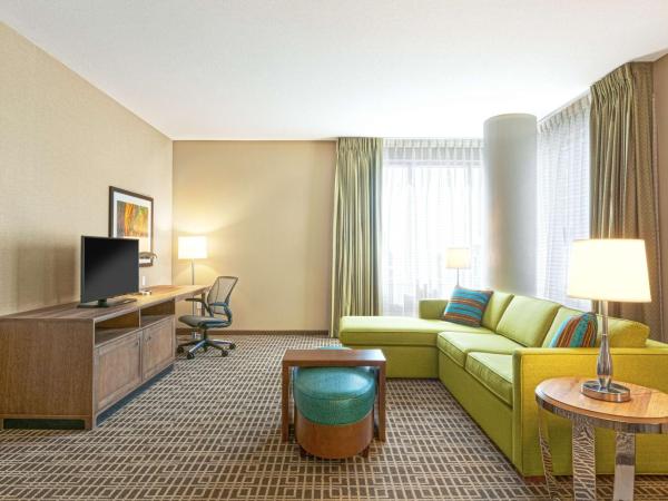 Homewood Suites by Hilton Houston Downtown : photo 1 de la chambre suite lit king-size - vue sur parc - non-fumeurs