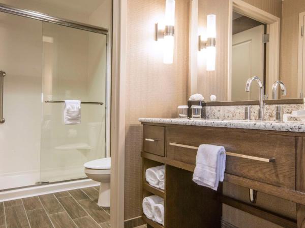 Homewood Suites by Hilton Houston Downtown : photo 4 de la chambre suite studio avec 2 lits queen-size et douche - vue sur parc - accessible aux personnes à mobilité réduite
